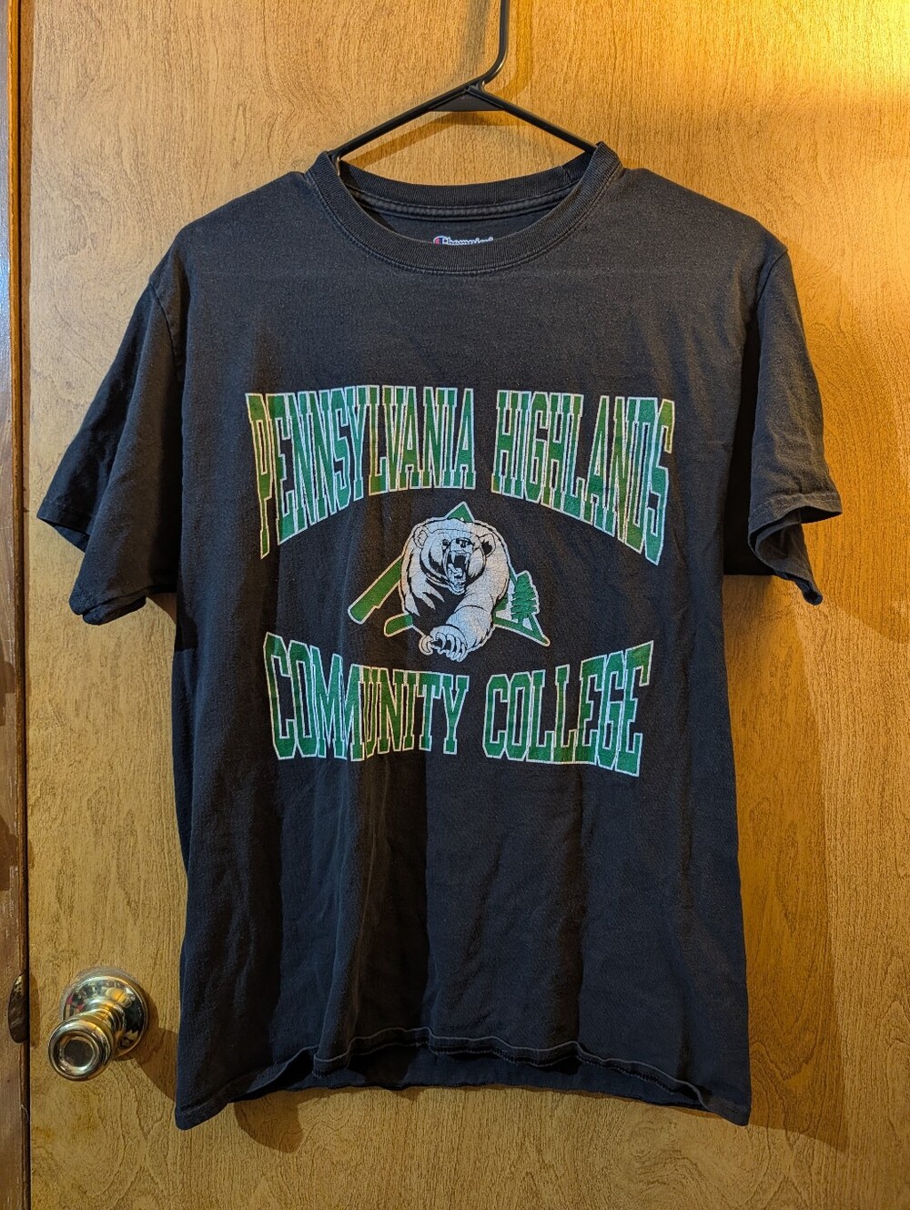 Champion Authentic College Graphic Shirt.